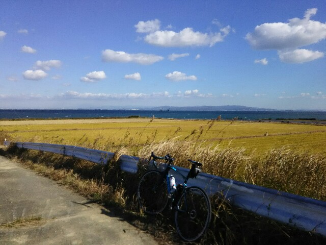 f:id:ikarugasan:20151222064726j:image f:id:ikarugasan:20151222064726j:image