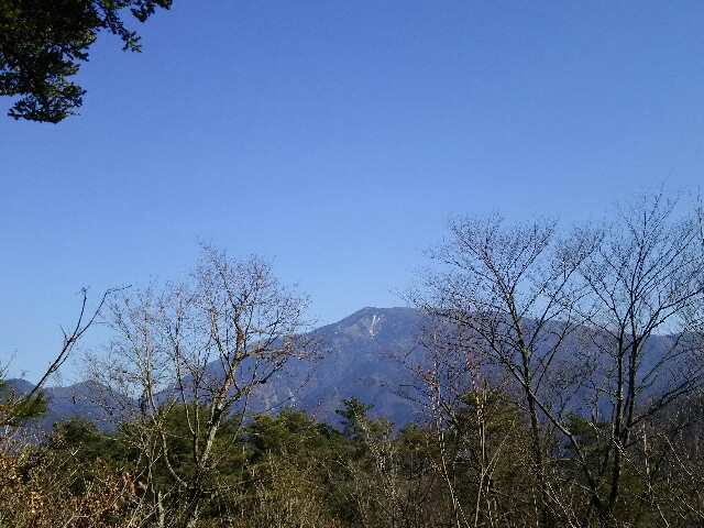 f:id:ikarugasan:20160203075849j:image f:id:ikarugasan:20160203075849j:image
