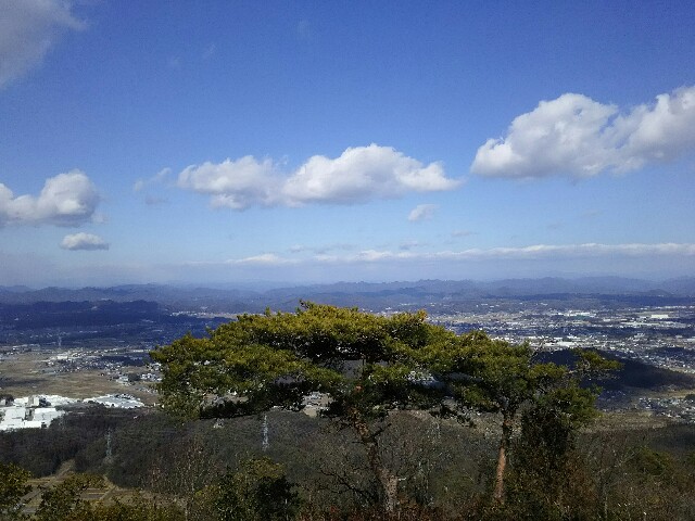 f:id:ikarugasan:20160222185536j:image f:id:ikarugasan:20160222185536j:image