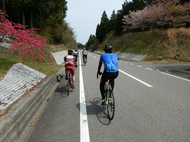 f:id:ikarugasan:20160419201059j:image f:id:ikarugasan:20160419201059j:image
