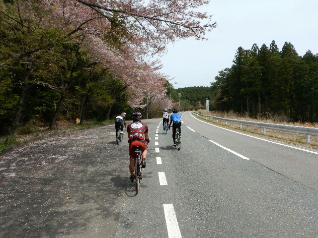 f:id:ikarugasan:20160419201315j:image f:id:ikarugasan:20160419201315j:image