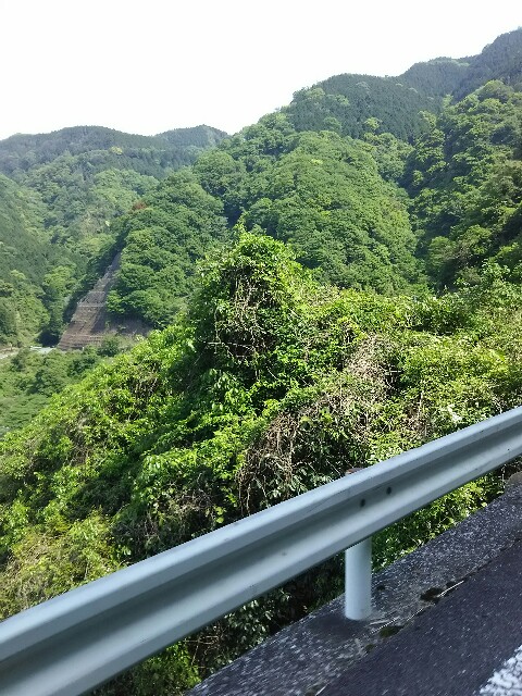 f:id:ikarugasan:20160516085202j:image f:id:ikarugasan:20160516085202j:image