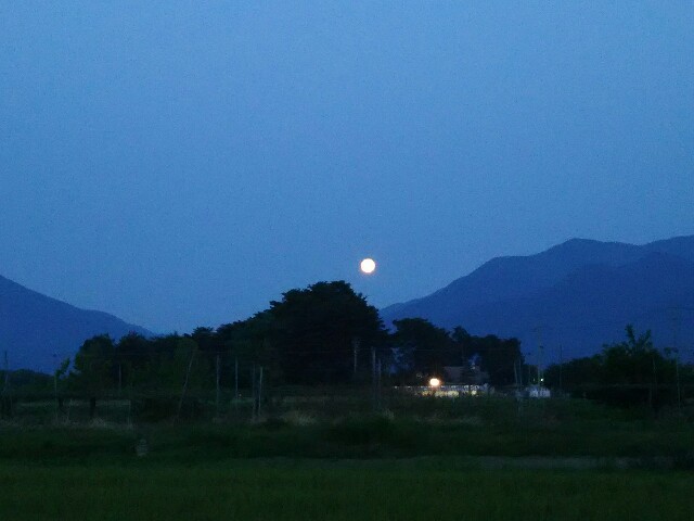 f:id:ikarugasan:20160525190818j:image f:id:ikarugasan:20160525190818j:image