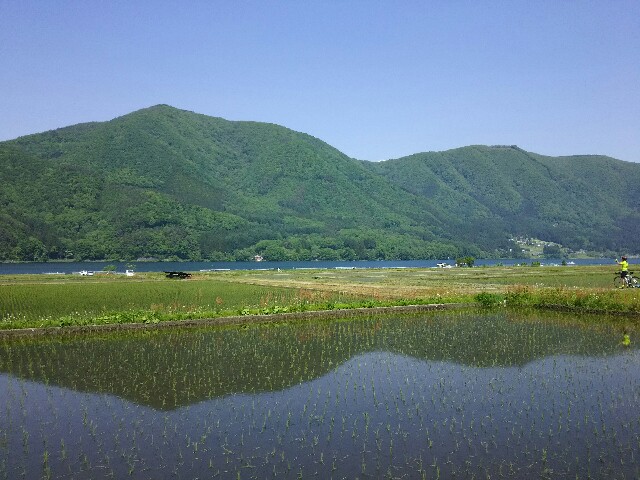 f:id:ikarugasan:20160526073153j:image f:id:ikarugasan:20160526073153j:image