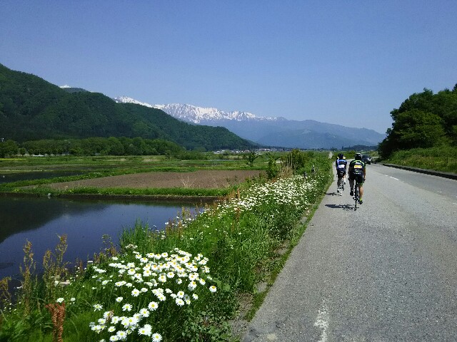 f:id:ikarugasan:20160526073727j:image f:id:ikarugasan:20160526073727j:image