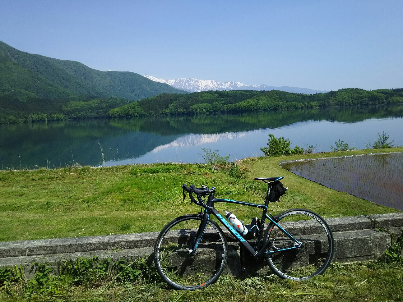 f:id:ikarugasan:20160527205430j:image f:id:ikarugasan:20160527205430j:image