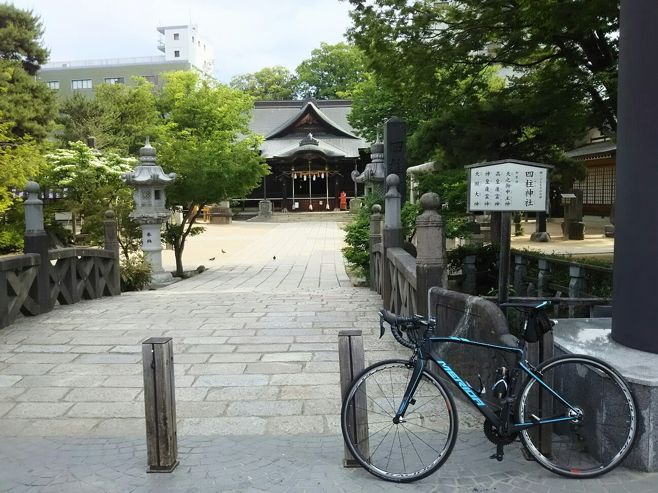f:id:ikarugasan:20160529191029j:image f:id:ikarugasan:20160529191029j:image