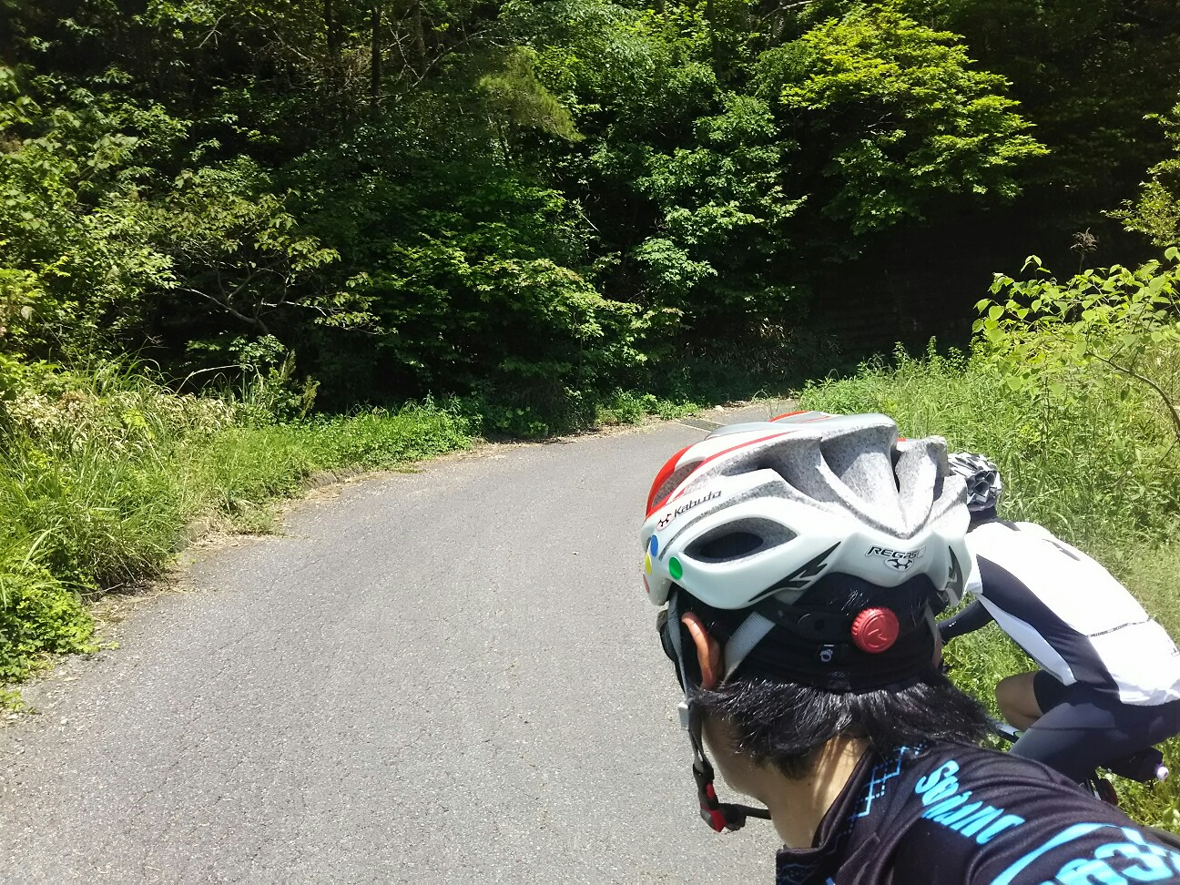 f:id:ikarugasan:20160529200201j:image f:id:ikarugasan:20160529200201j:image