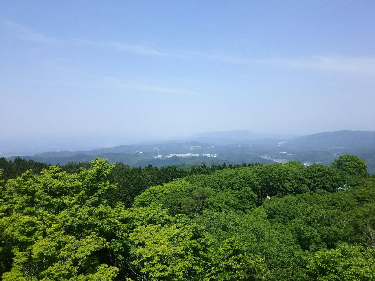 f:id:ikarugasan:20160529200547j:image f:id:ikarugasan:20160529200547j:image