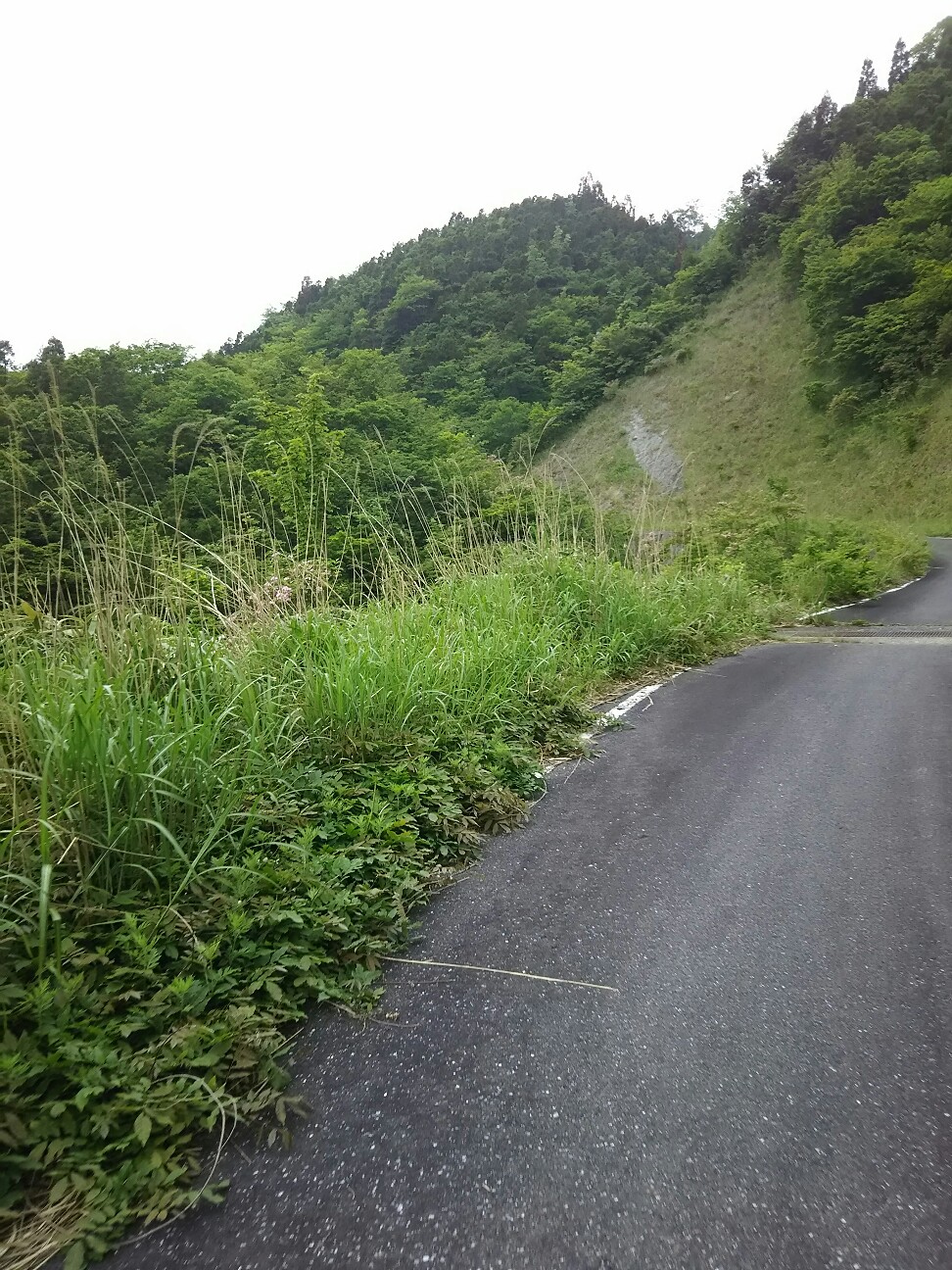 f:id:ikarugasan:20160604070701j:image f:id:ikarugasan:20160604070701j:image