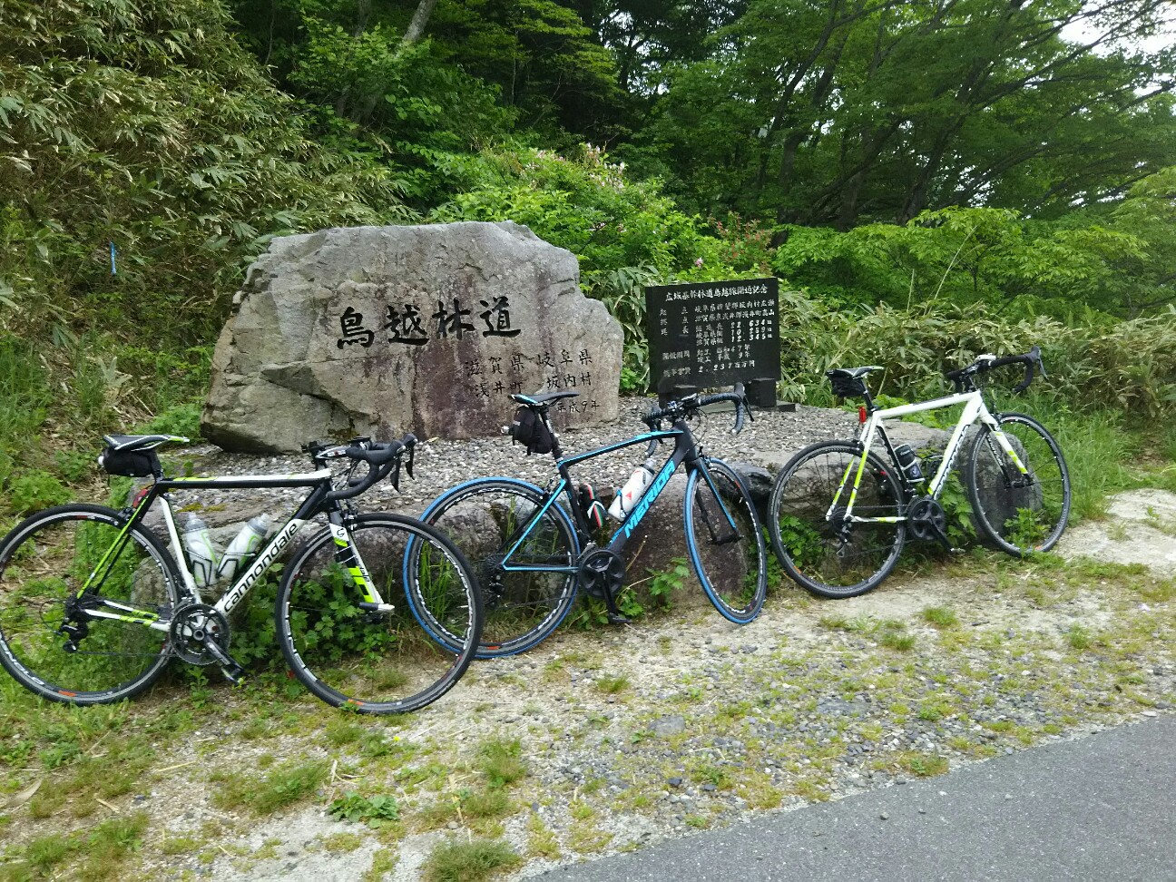 f:id:ikarugasan:20160604071051j:image f:id:ikarugasan:20160604071051j:image