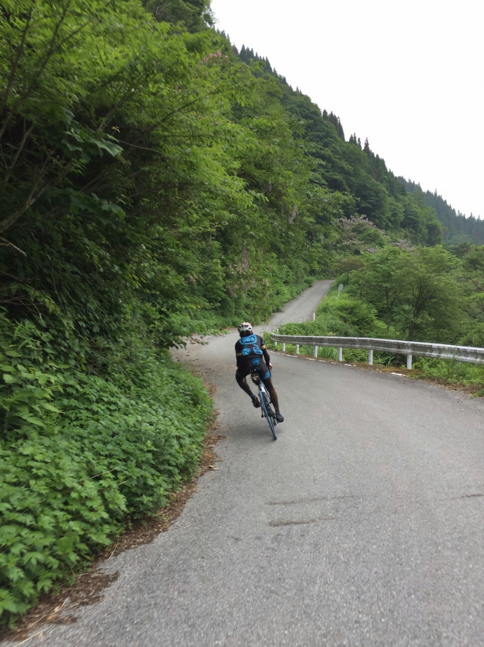 f:id:ikarugasan:20160604191559j:image f:id:ikarugasan:20160604191559j:image