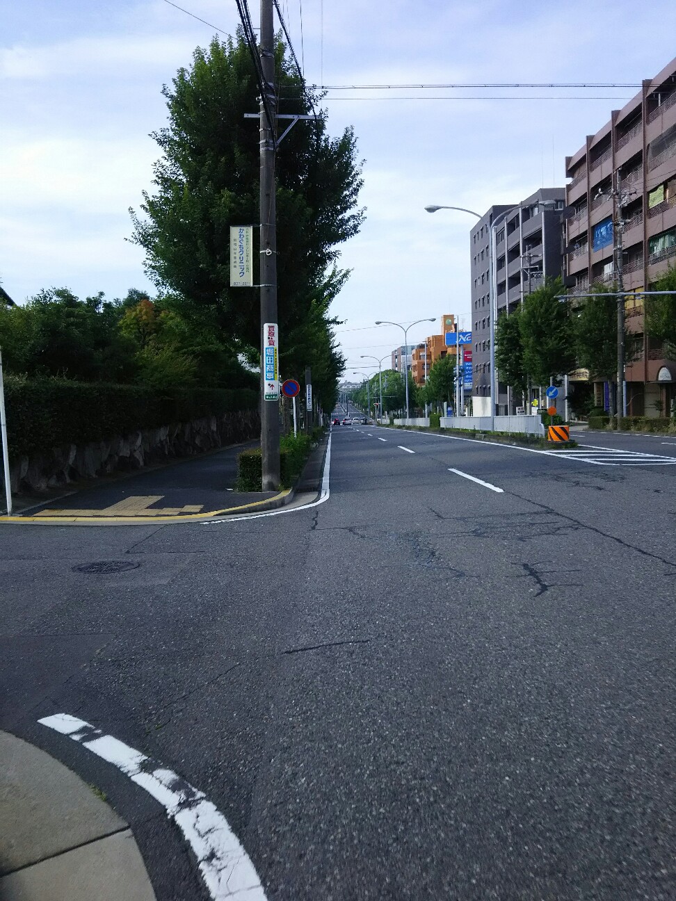 f:id:ikarugasan:20160705125041j:image f:id:ikarugasan:20160705125041j:image