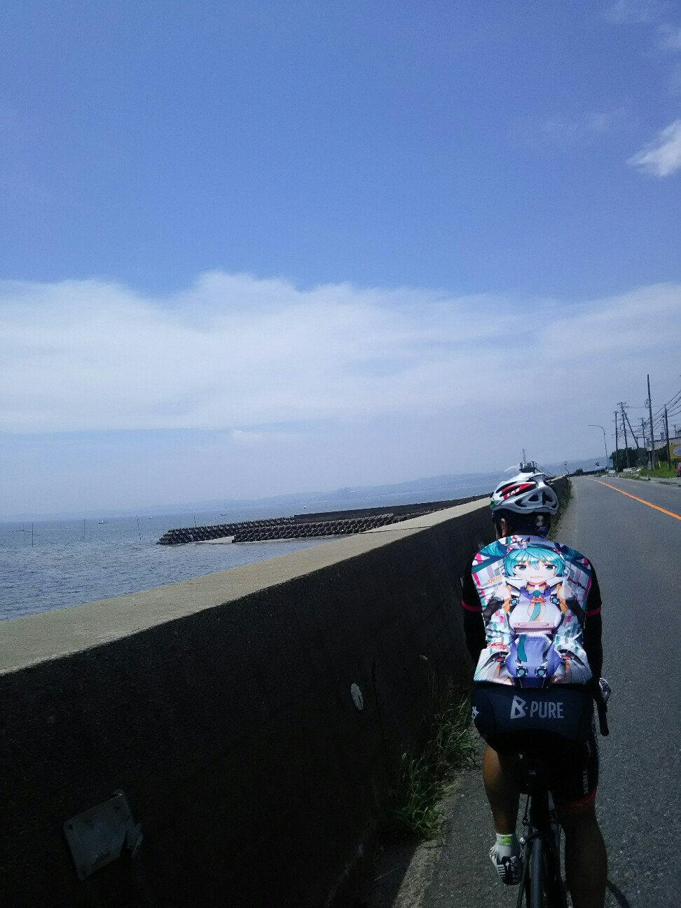 f:id:ikarugasan:20160706201124j:image f:id:ikarugasan:20160706201124j:image