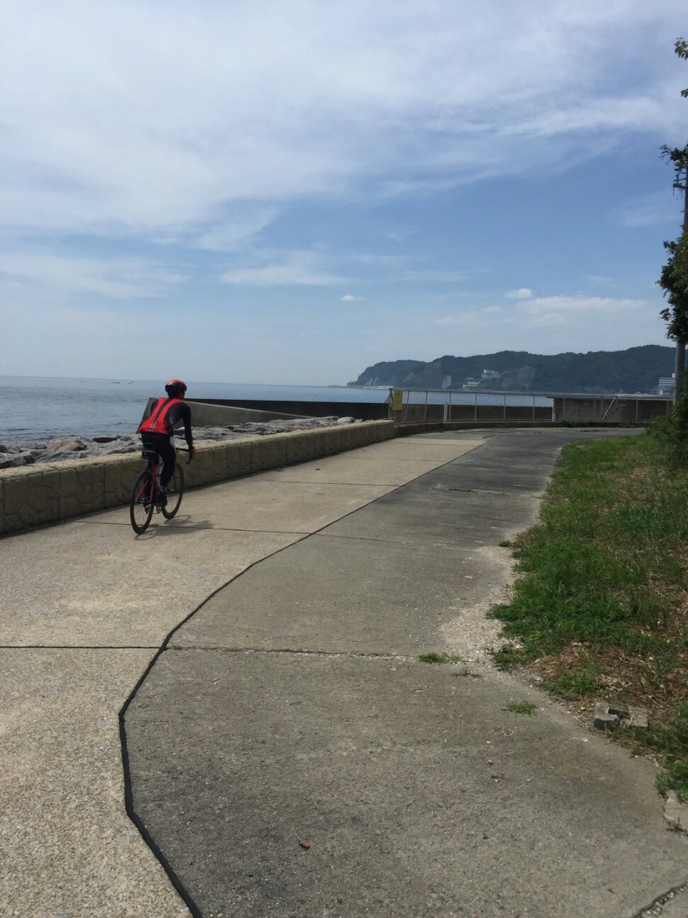 f:id:ikarugasan:20160708070959j:image f:id:ikarugasan:20160708070959j:image