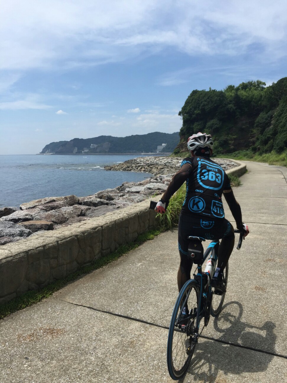 f:id:ikarugasan:20160708071431j:image f:id:ikarugasan:20160708071431j:image