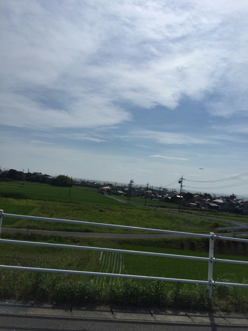 f:id:ikarugasan:20160708201650j:image f:id:ikarugasan:20160708201650j:image