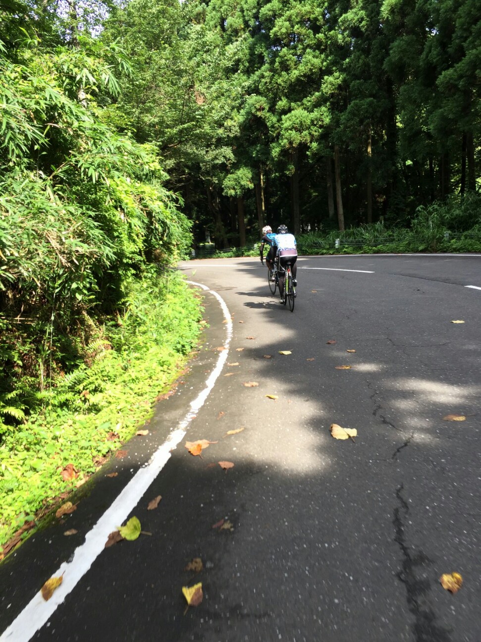 f:id:ikarugasan:20160714070843j:image f:id:ikarugasan:20160714070843j:image