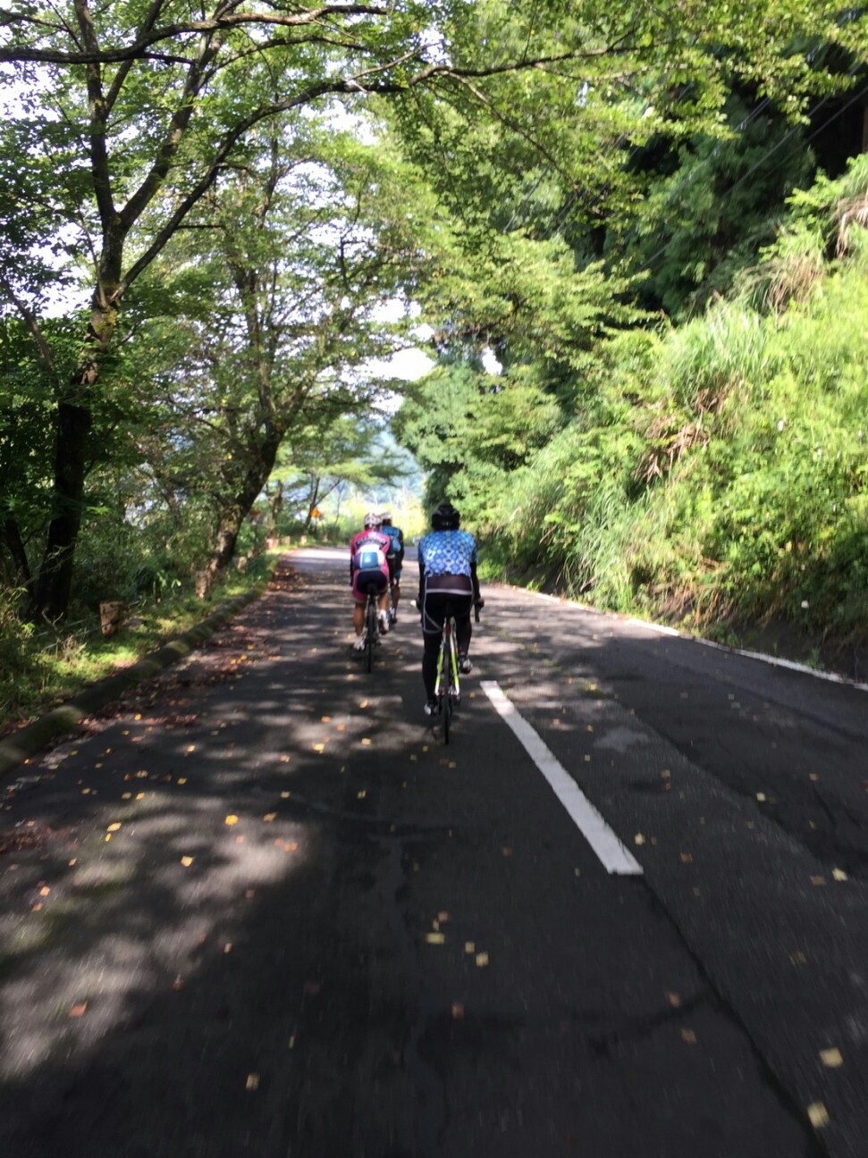 f:id:ikarugasan:20160714072115j:image f:id:ikarugasan:20160714072115j:image