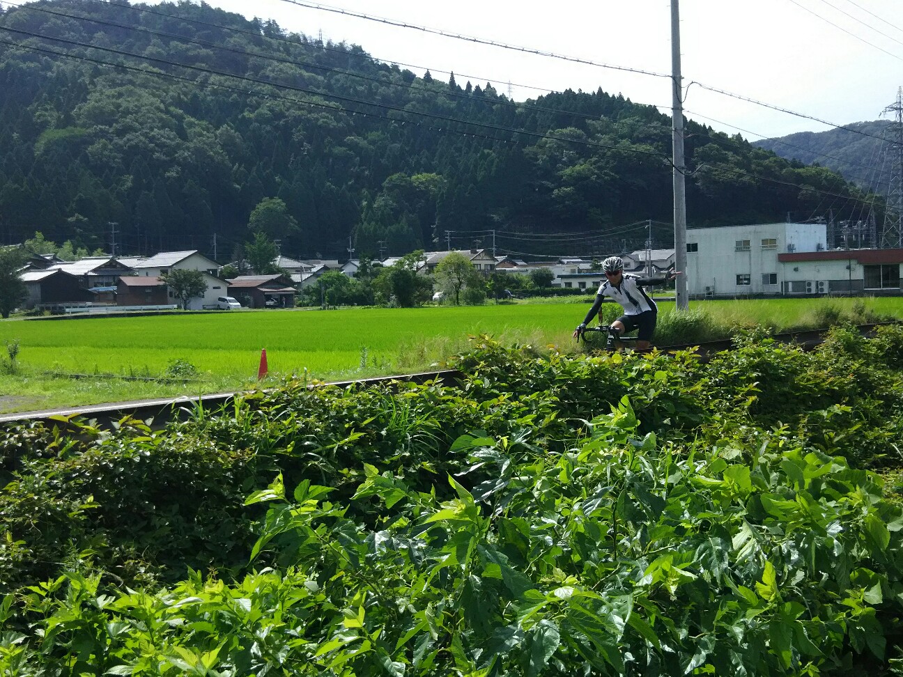 f:id:ikarugasan:20160714203827j:image f:id:ikarugasan:20160714203827j:image