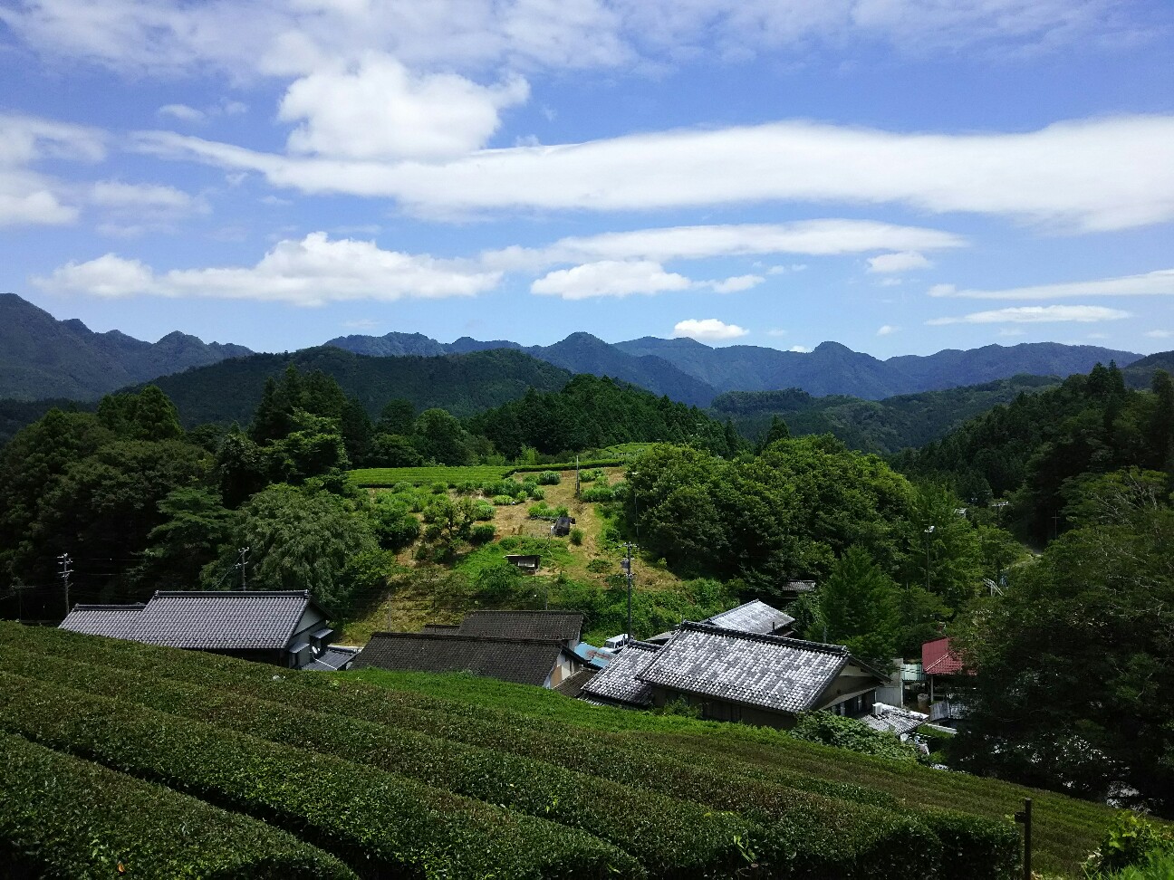 f:id:ikarugasan:20160719070921j:image f:id:ikarugasan:20160719070921j:image