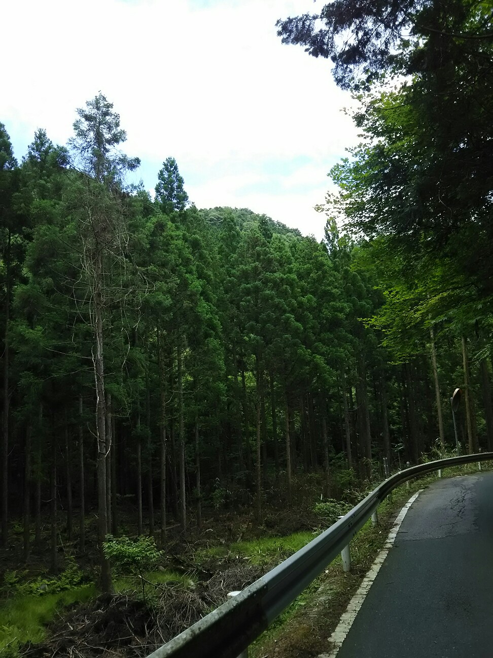 f:id:ikarugasan:20160721071143j:image f:id:ikarugasan:20160721071143j:image
