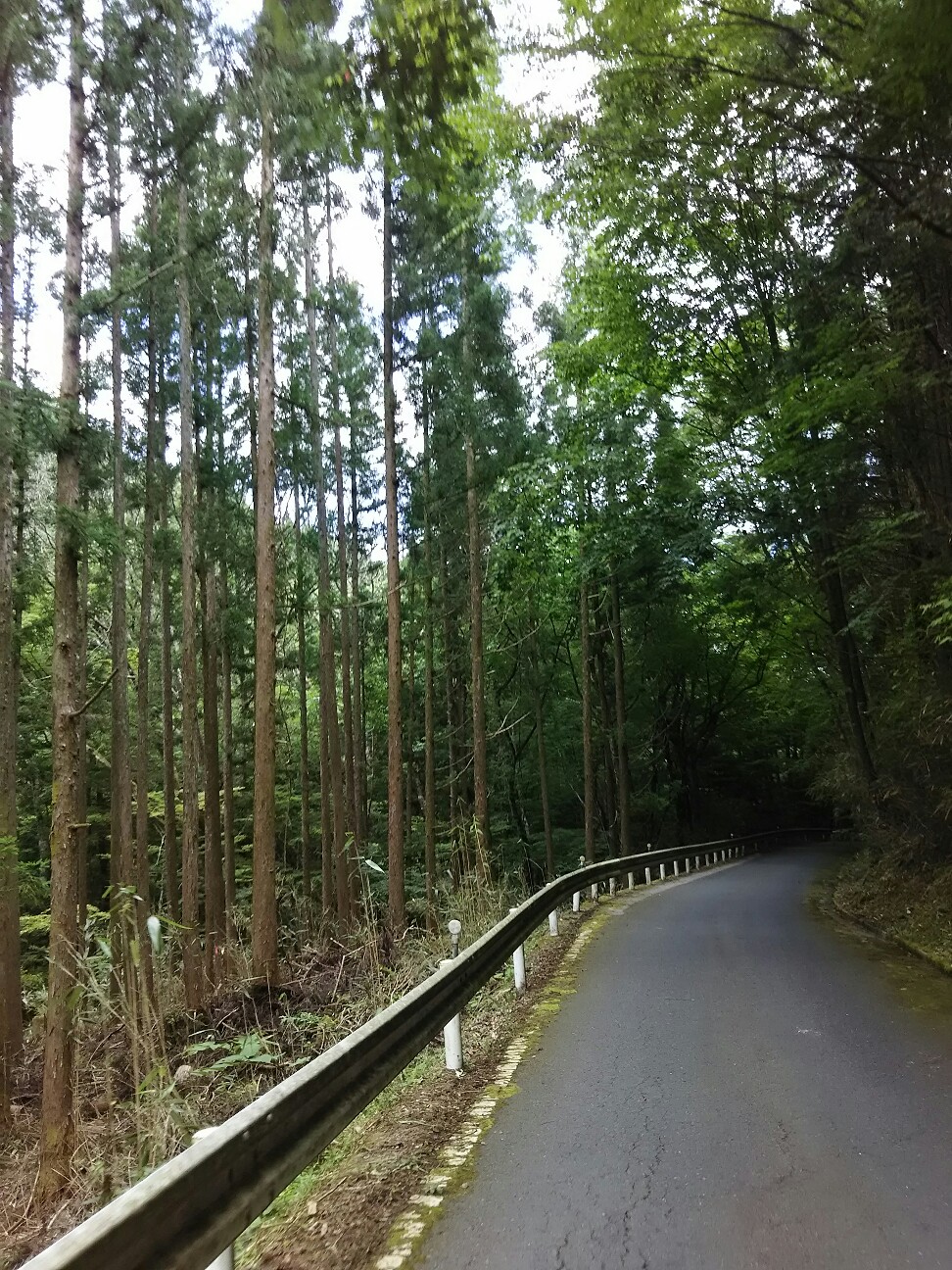 f:id:ikarugasan:20160721071217j:image f:id:ikarugasan:20160721071217j:image