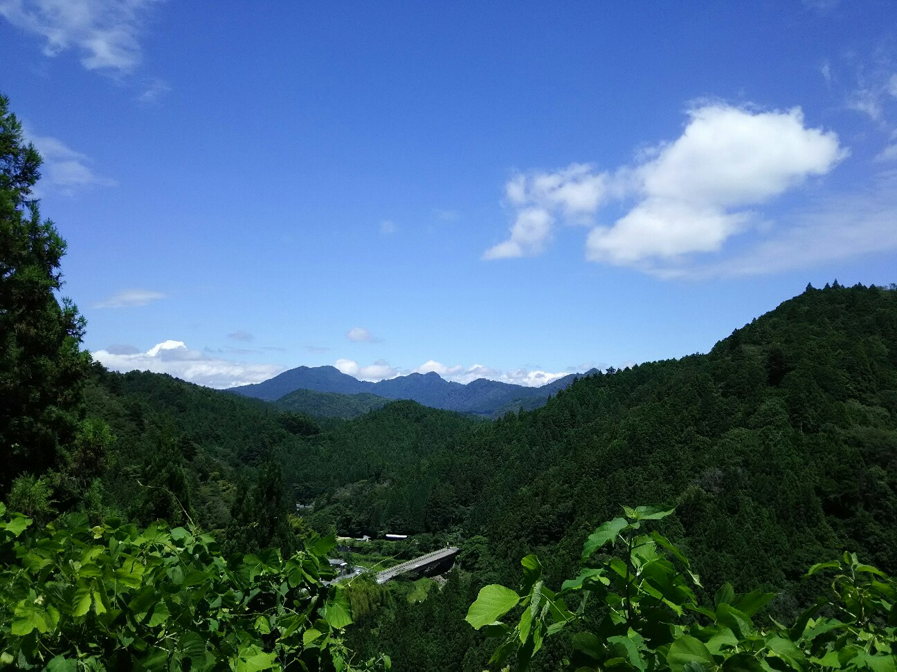f:id:ikarugasan:20160721071610j:image f:id:ikarugasan:20160721071610j:image
