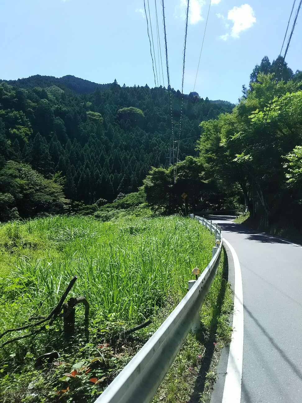 f:id:ikarugasan:20160721071824j:image f:id:ikarugasan:20160721071824j:image
