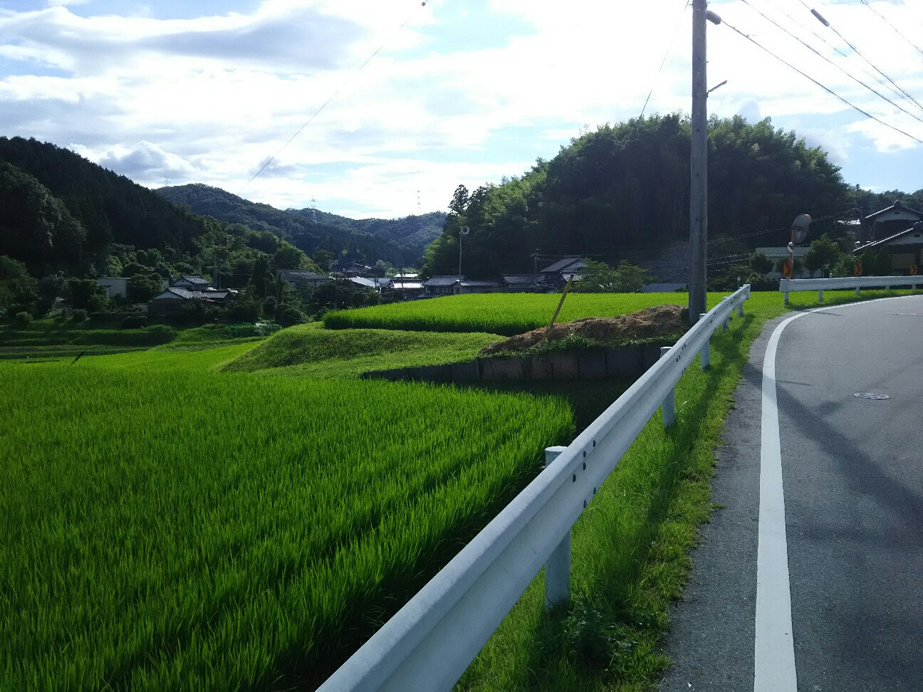 f:id:ikarugasan:20160721072129j:image f:id:ikarugasan:20160721072129j:image