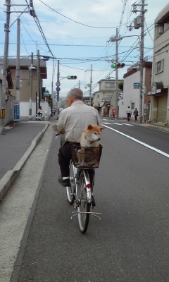 f:id:ikiuneminoru:20120603145104j:plain f:id:ikiuneminoru:20120603145104j:plain
