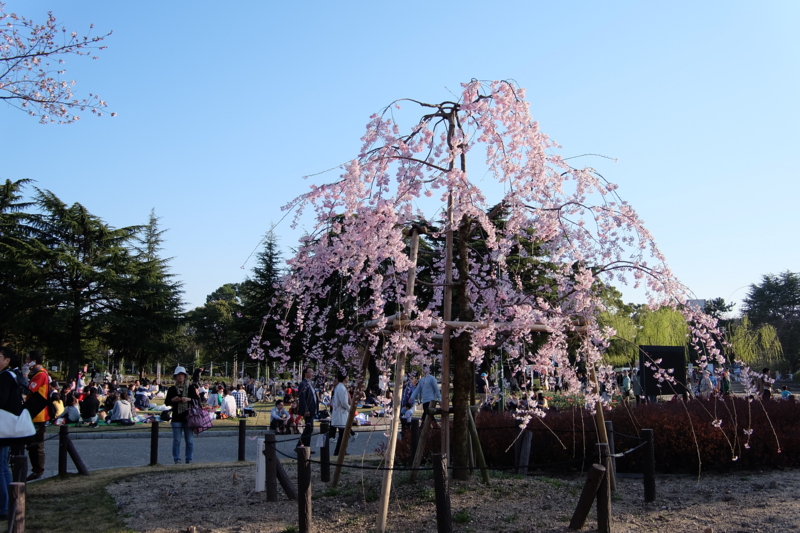 f:id:ikko_photo:20150328164125j:plain f:id:ikko_photo:20150328164125j:plain