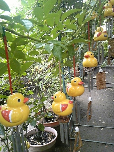 f:id:iko1225:20110825113219j:image:w280 f:id:iko1225:20110825113219j:image:w280