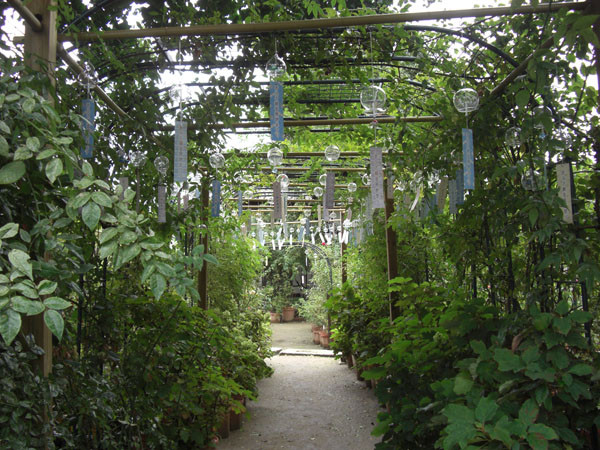 f:id:iko1225:20110825113635j:image:w350 f:id:iko1225:20110825113635j:image:w350