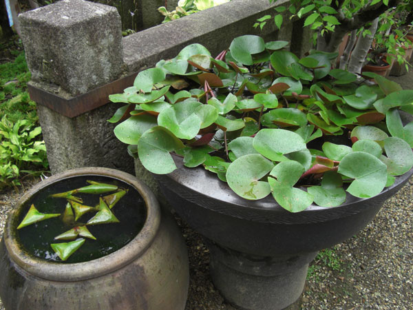 f:id:iko1225:20110825113814j:image:w350 f:id:iko1225:20110825113814j:image:w350
