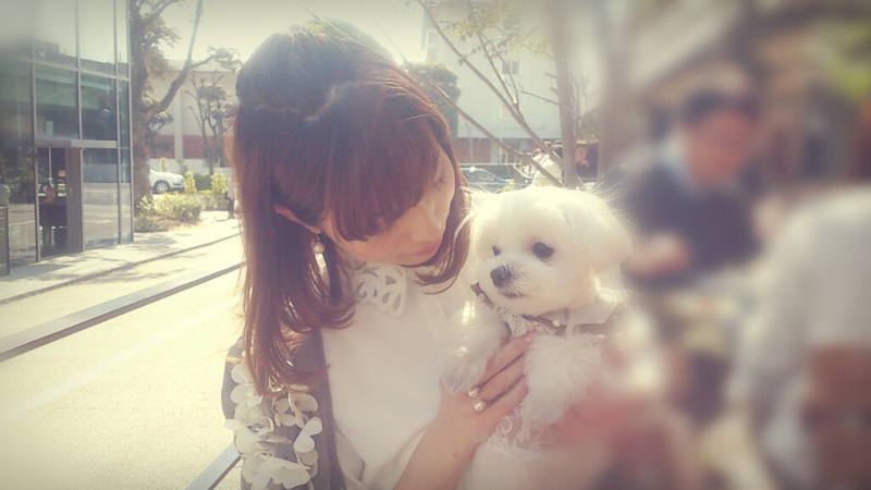 f:id:ikuhirata:20140326113243j:plain f:id:ikuhirata:20140326113243j:plain