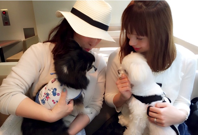 f:id:ikuhirata:20150501213722j:image f:id:ikuhirata:20150501213722j:image