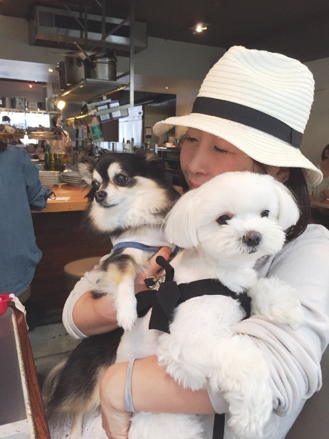 f:id:ikuhirata:20150501213735j:image f:id:ikuhirata:20150501213735j:image