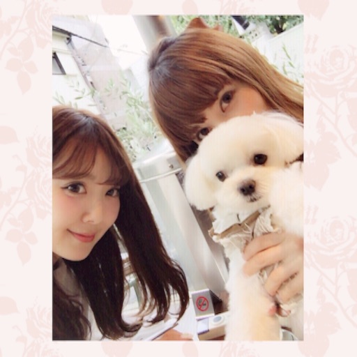 f:id:ikuhirata:20151205184047j:image f:id:ikuhirata:20151205184047j:image