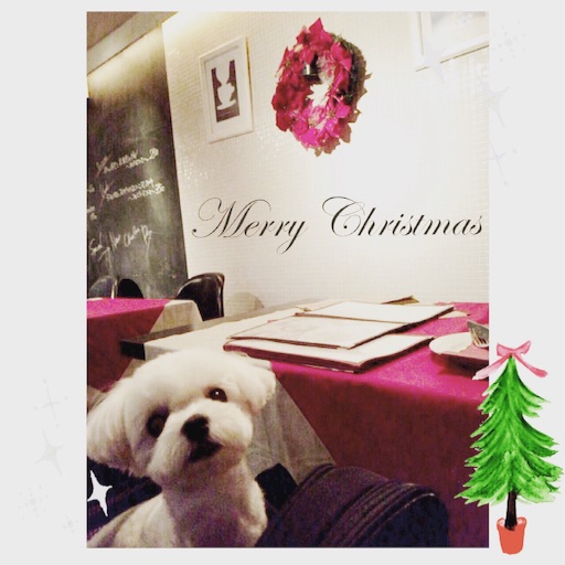 f:id:ikuhirata:20151230234125j:image f:id:ikuhirata:20151230234125j:image