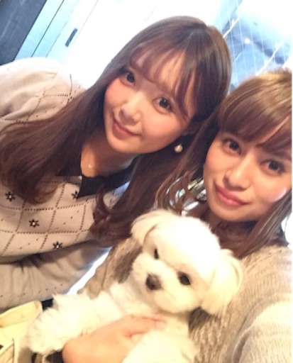 f:id:ikuhirata:20160205223141j:image f:id:ikuhirata:20160205223141j:image