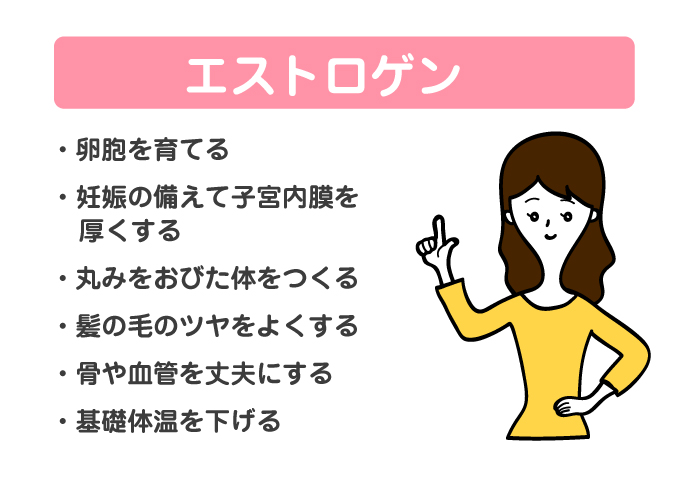 《2種類の女性ホルモン》役割の違いを整理しました。 《40代》女子のすっきりお悩み解消方法