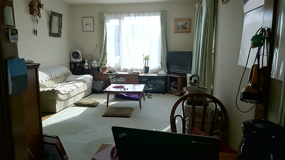 f:id:ilovewintergreen:20151107124931j:plain