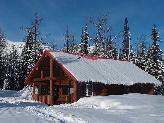 f:id:ilovewintergreen:20160320184105j:plain