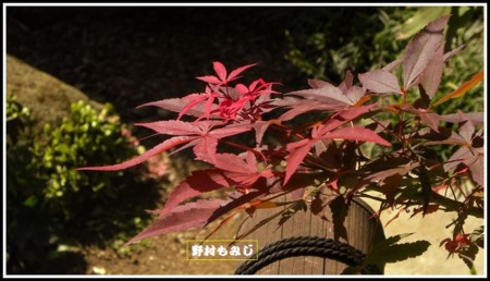 f:id:ima-2:20150923202455j:image f:id:ima-2:20150923202455j:image