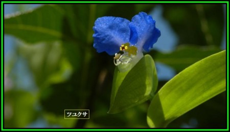 f:id:ima-2:20150923203131j:image f:id:ima-2:20150923203131j:image