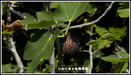 f:id:ima-2:20150923203132j:image f:id:ima-2:20150923203132j:image