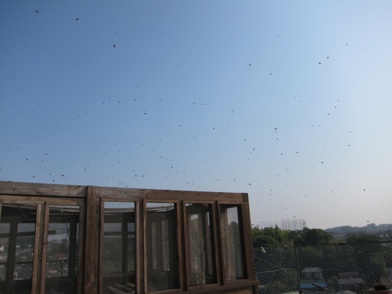 f:id:imaihoney:20140531080109j:plain f:id:imaihoney:20140531080109j:plain