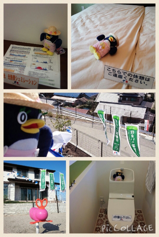 f:id:imotakun:20150630112145j:plain