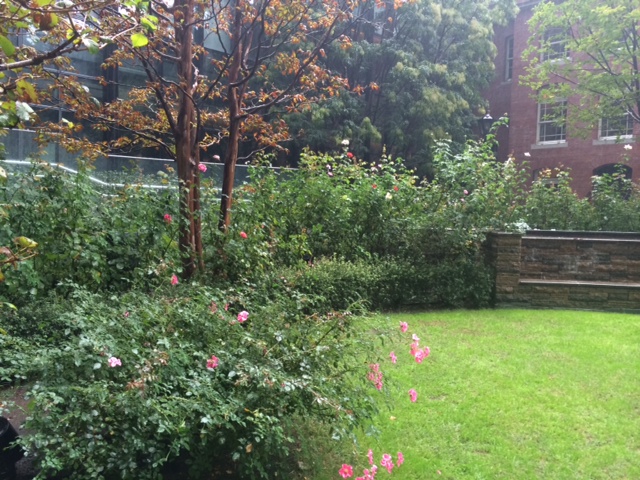 f:id:impatiens101:20141103221058j:plain f:id:impatiens101:20141103221058j:plain